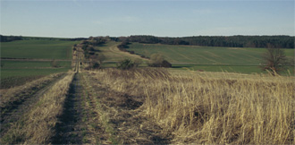 Der Grenzstreifen, Foto: H. Wenzel