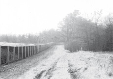 Grenzanlagen bei Harras 1990, Quelle: M. Dorscht